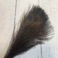 Flybox Bleach Dyed Peacock Eyes - Black
