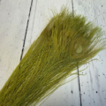 Flybox Bleach Dyed Peacock Eyes - Fl Chartreuse
