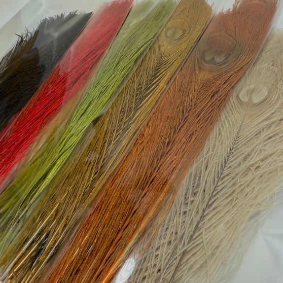 Bleach Dyed Peacock Eyes