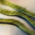 Olive Mink