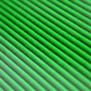 High Definition Quills - Lime