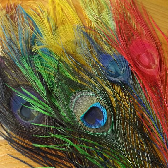Fly Tying Bleached Dyed Peacock Eyes set of colours herls and eyes 