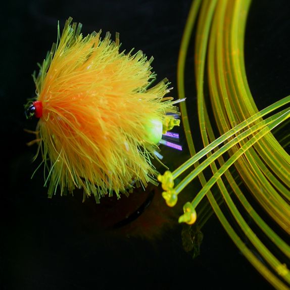 Fly-Link - Flu Sunburst