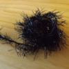 Neon Hackle - Black