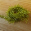 Neon Hackle - Olive