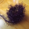 NEON Hackle - Claret