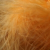 Marabou - Sunburst Peach