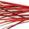 stripped_red