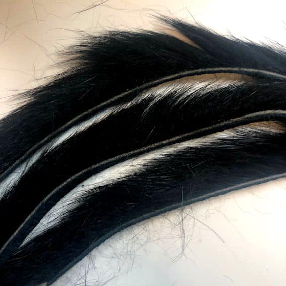 chinchillablack