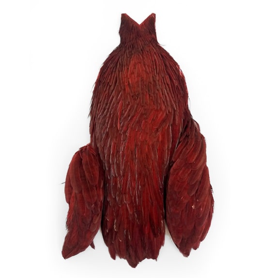 Exclusive Whiting Capes - Claret