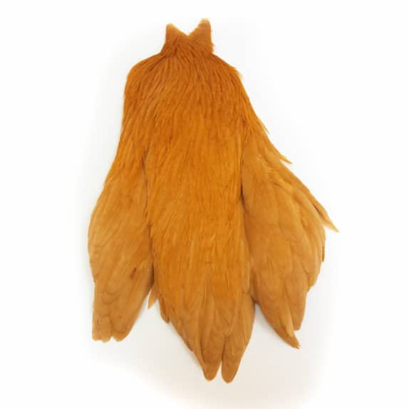 Whiting Exclusive Hen Cape - Copper Olive
