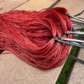 Competition Flex - Brandling Worm
