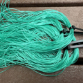 Competition Flex - Spearmint